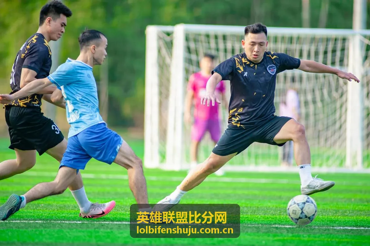 JDG标志